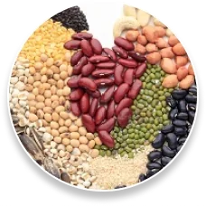 Phytosterols — ingredient in ProstaPure 24